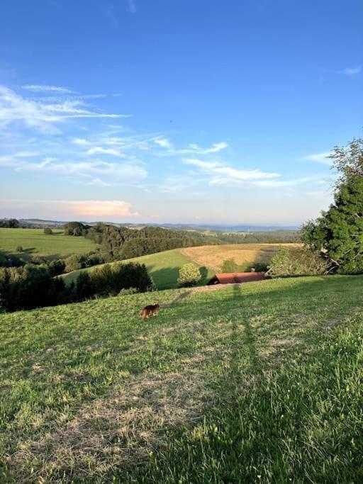 Schwarzwald Escape Guest House Gorwihl ภายนอก รูปภาพ